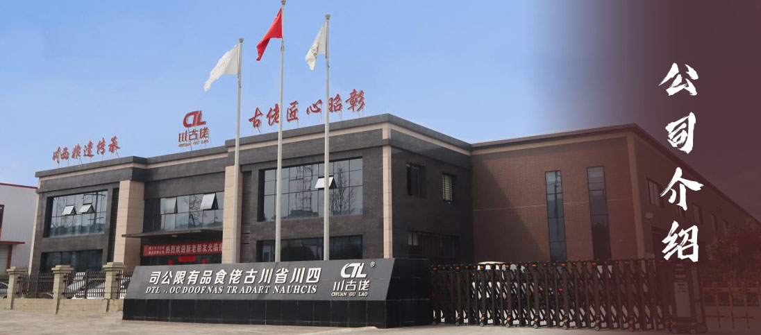公司介绍